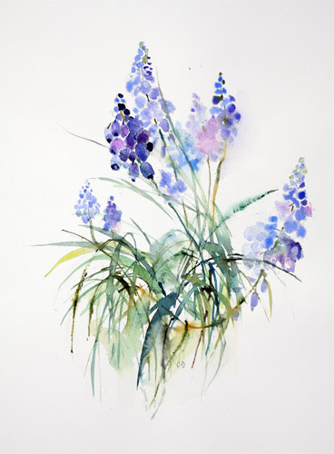 Brigitte Weigert - Blütenstände